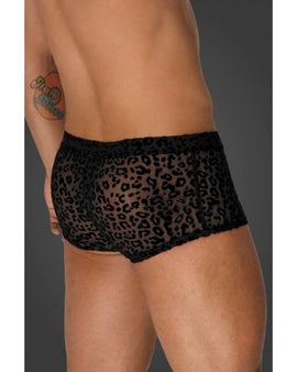 Leopard Flock Short Shorts