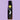 2026 Body Essentials