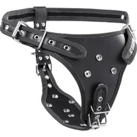 Double Penetration Strap On Harness