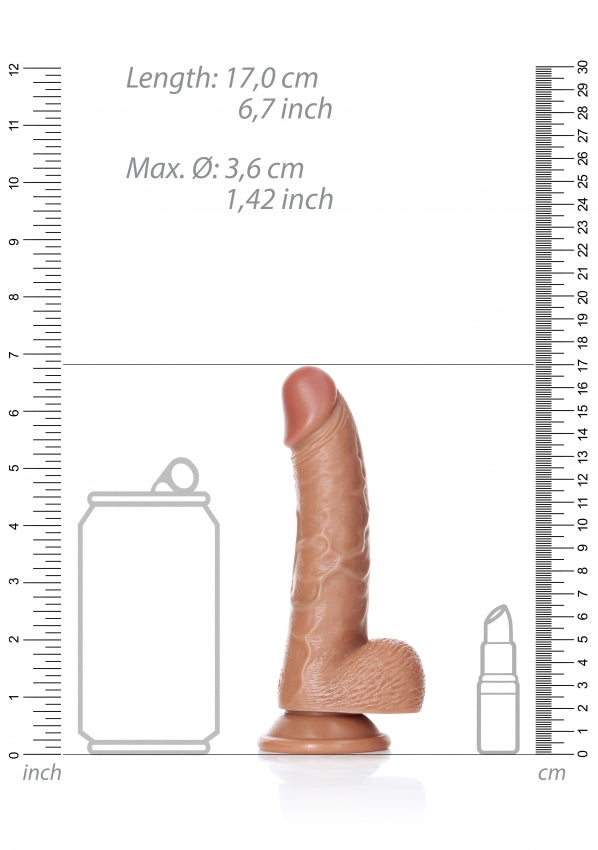 Curved Realistic Dildo with Balls and Suction Cup - 6''/ 15.5 cm