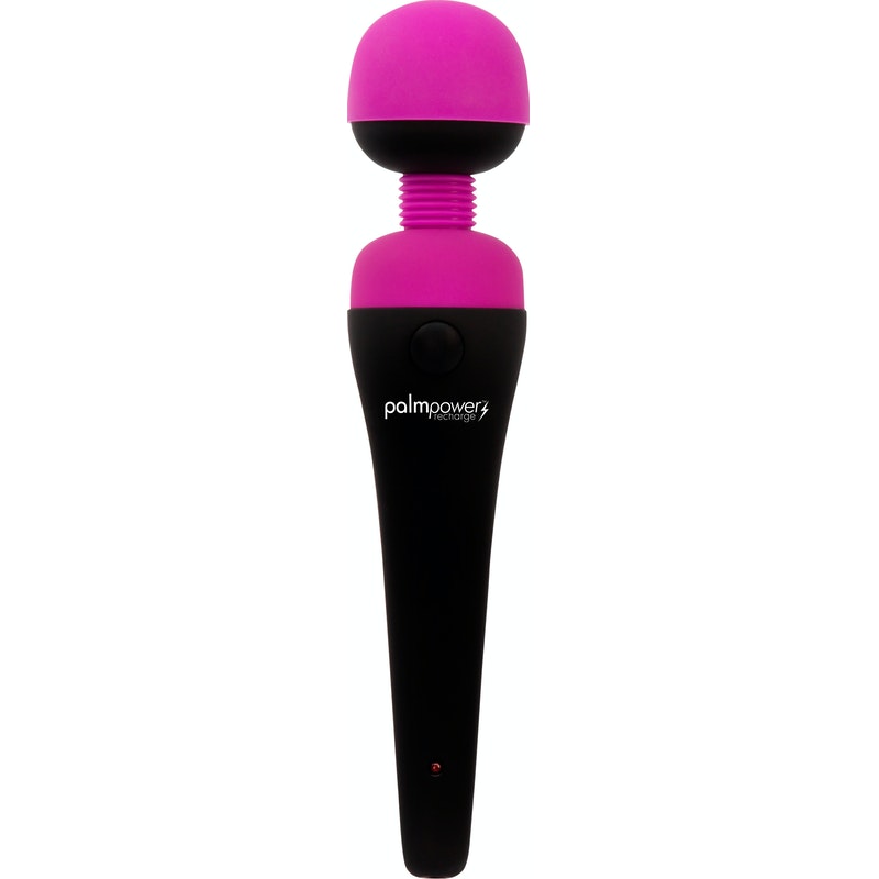 PalmPower Massage Wand Recharge Waterproof