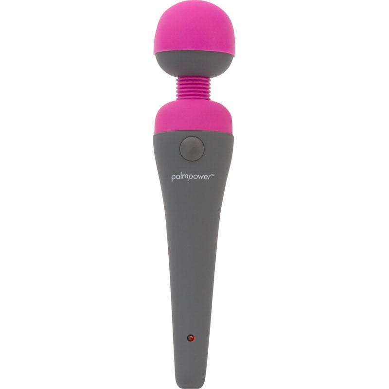 PalmPower Massage Wand