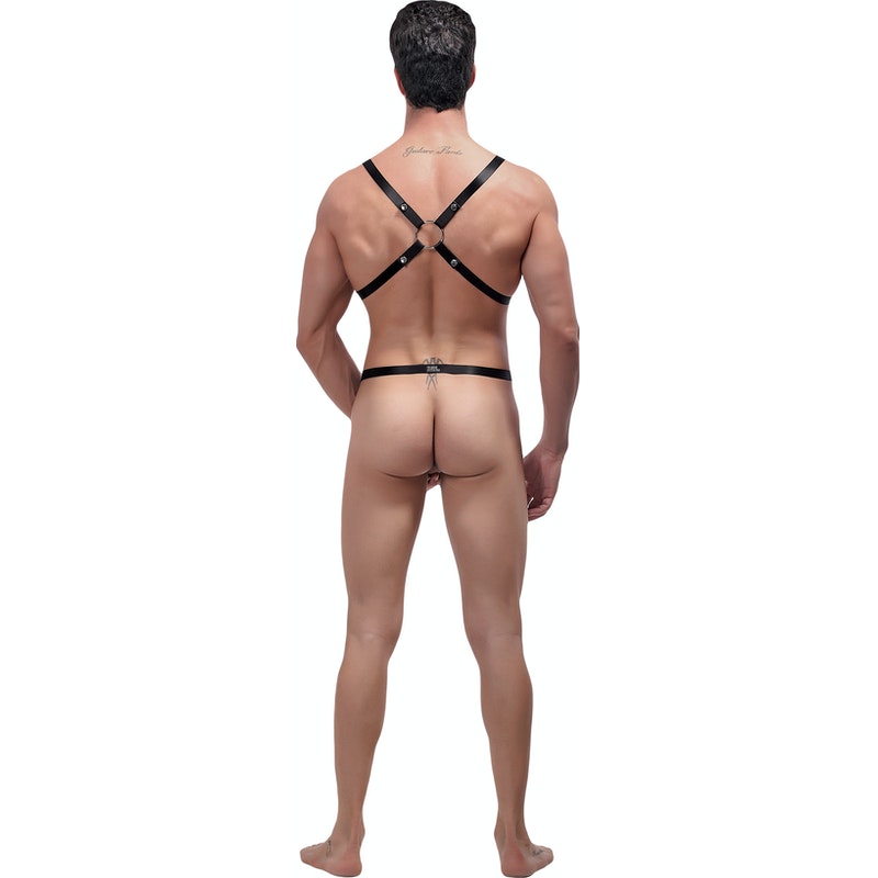 Male Power Rip Off Harness Set