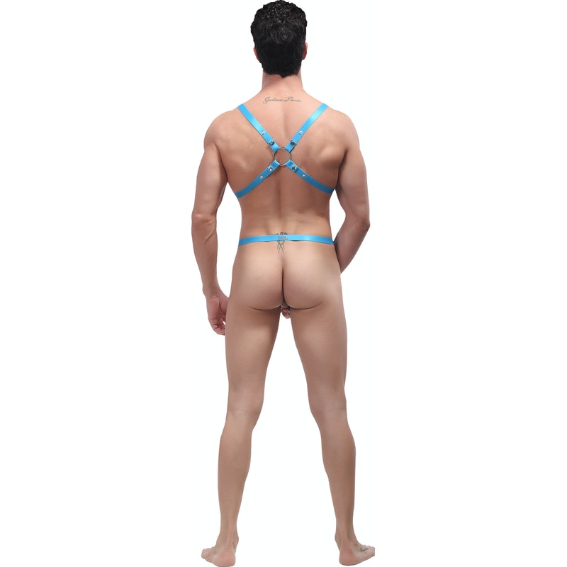 Male Power Rip Off Harness Set