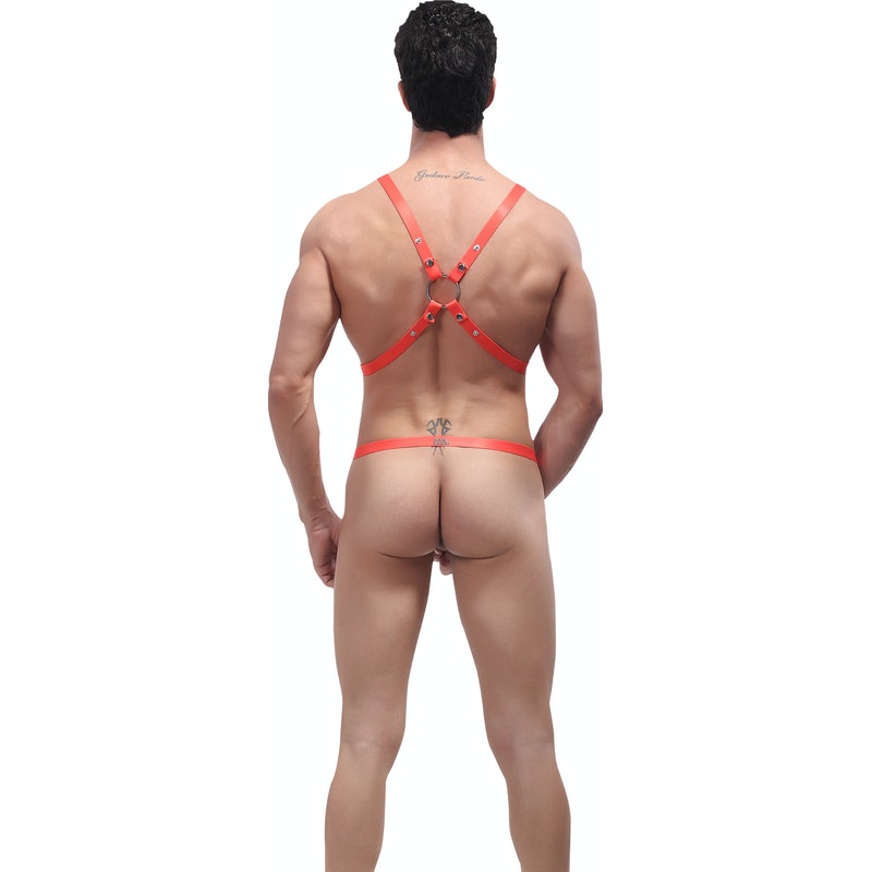 Male Power Rip Off Harness Set