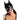 Glossy Wetlook Cat Mask One Size Ann