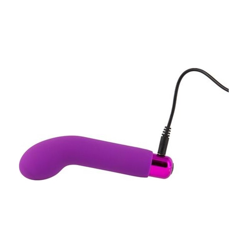 Power Bullet Sara’s Spot Vibrator Purple