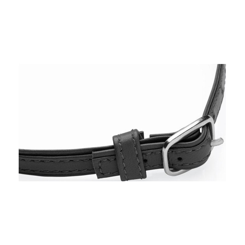 Sex Pet Leather Choker w/ Silver Ring Black