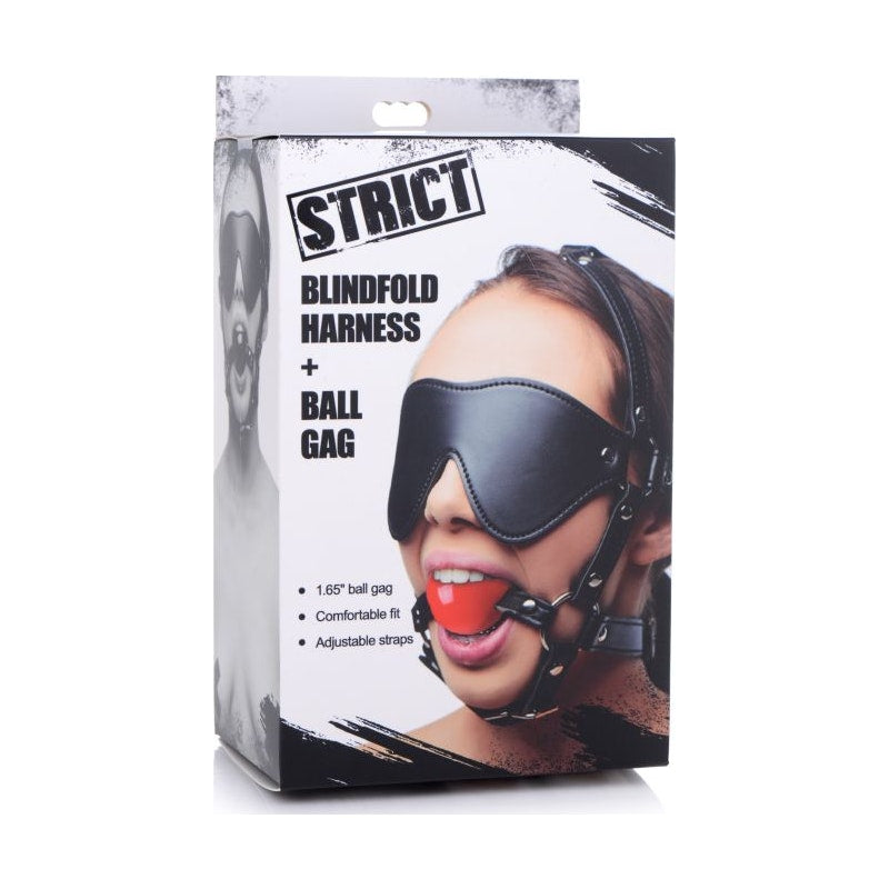 Blindfold Harness w Ball Gag Black