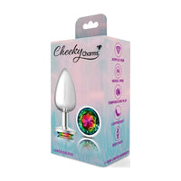 Cheeky Charms Silver Round Butt Plug w Rainbow Jewel Large