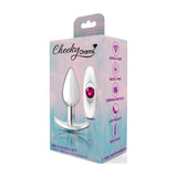 Cheeky Charms Silver Anchor Butt Plug  w Clear and Pink Jewel Kit