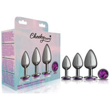 Cheeky Charms Round Metal Butt Plug Gunmetal 3 Pc Kit w Purple Jewel