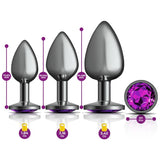 Cheeky Charms Round Metal Butt Plug Gunmetal 3 Pc Kit w Purple Jewel