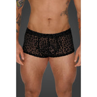 Leopard Flock Short Shorts