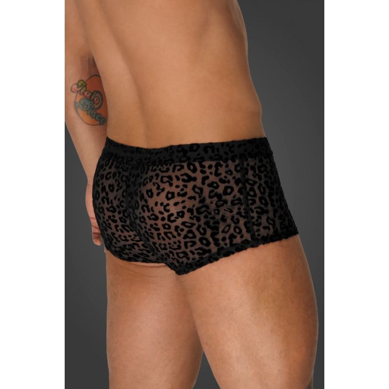 Leopard Flock Short Shorts